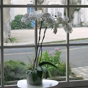 Hotel Le Saint-nicolas 4*